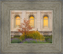 Load image into Gallery viewer, Salt Lake Autumn Detail
