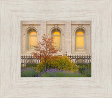 Load image into Gallery viewer, Salt Lake Autumn Detail
