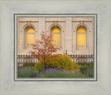 Load image into Gallery viewer, Salt Lake Autumn Detail
