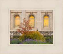 Load image into Gallery viewer, Salt Lake Autumn Detail
