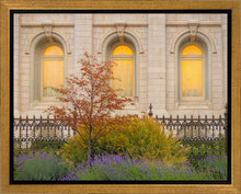 Load image into Gallery viewer, Salt Lake Autumn Detail
