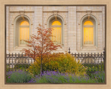 Load image into Gallery viewer, Salt Lake Autumn Detail
