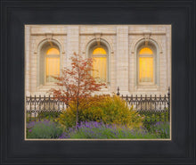 Load image into Gallery viewer, Salt Lake Autumn Detail
