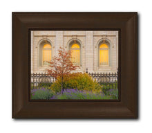 Load image into Gallery viewer, Salt Lake Autumn Detail
