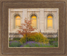 Load image into Gallery viewer, Salt Lake Autumn Detail

