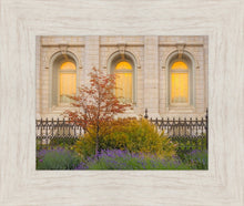 Load image into Gallery viewer, Salt Lake Autumn Detail
