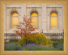 Load image into Gallery viewer, Salt Lake Autumn Detail
