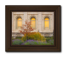 Load image into Gallery viewer, Salt Lake Autumn Detail
