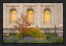 Load image into Gallery viewer, Salt Lake Autumn Detail
