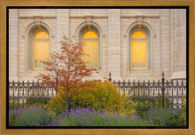 Load image into Gallery viewer, Salt Lake Autumn Detail

