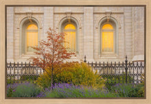 Load image into Gallery viewer, Salt Lake Autumn Detail
