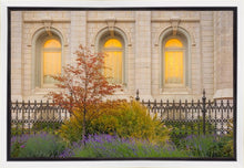 Load image into Gallery viewer, Salt Lake Autumn Detail
