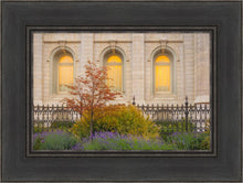 Load image into Gallery viewer, Salt Lake Autumn Detail
