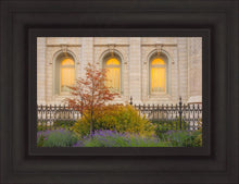 Load image into Gallery viewer, Salt Lake Autumn Detail
