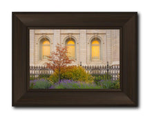 Load image into Gallery viewer, Salt Lake Autumn Detail
