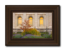 Load image into Gallery viewer, Salt Lake Autumn Detail
