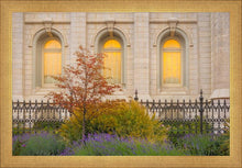 Load image into Gallery viewer, Salt Lake Autumn Detail

