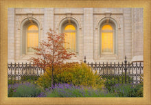 Load image into Gallery viewer, Salt Lake Autumn Detail
