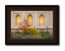 Load image into Gallery viewer, Salt Lake Autumn Detail
