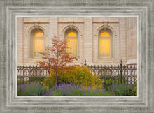Load image into Gallery viewer, Salt Lake Autumn Detail
