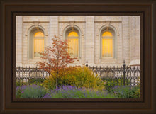 Load image into Gallery viewer, Salt Lake Autumn Detail
