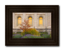 Load image into Gallery viewer, Salt Lake Autumn Detail
