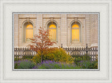 Load image into Gallery viewer, Salt Lake Autumn Detail

