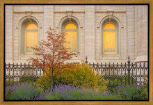 Load image into Gallery viewer, Salt Lake Autumn Detail
