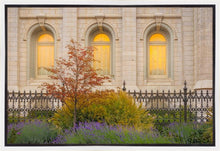Load image into Gallery viewer, Salt Lake Autumn Detail
