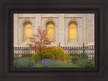 Load image into Gallery viewer, Salt Lake Autumn Detail

