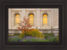 Load image into Gallery viewer, Salt Lake Autumn Detail
