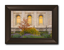 Load image into Gallery viewer, Salt Lake Autumn Detail
