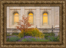 Load image into Gallery viewer, Salt Lake Autumn Detail
