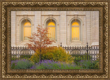 Load image into Gallery viewer, Salt Lake Autumn Detail
