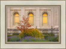 Load image into Gallery viewer, Salt Lake Autumn Detail
