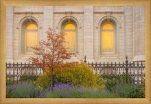 Load image into Gallery viewer, Salt Lake Autumn Detail
