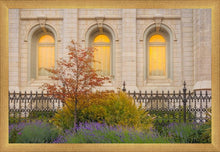 Load image into Gallery viewer, Salt Lake Autumn Detail
