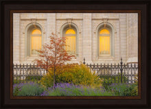 Load image into Gallery viewer, Salt Lake Autumn Detail
