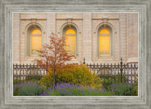 Load image into Gallery viewer, Salt Lake Autumn Detail
