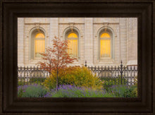 Load image into Gallery viewer, Salt Lake Autumn Detail
