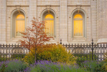 Load image into Gallery viewer, Salt Lake Autumn Detail
