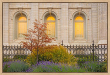 Load image into Gallery viewer, Salt Lake Autumn Detail
