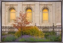 Load image into Gallery viewer, Salt Lake Autumn Detail
