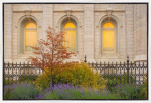 Load image into Gallery viewer, Salt Lake Autumn Detail
