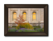 Load image into Gallery viewer, Salt Lake Autumn Detail
