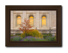 Load image into Gallery viewer, Salt Lake Autumn Detail
