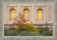 Load image into Gallery viewer, Salt Lake Autumn Detail

