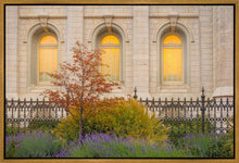 Load image into Gallery viewer, Salt Lake Autumn Detail
