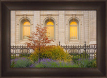 Load image into Gallery viewer, Salt Lake Autumn Detail
