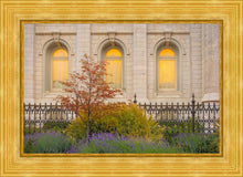 Load image into Gallery viewer, Salt Lake Autumn Detail

